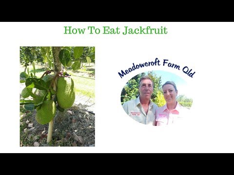 How to eat Jackfruit - A Tropical Taste Sensation!