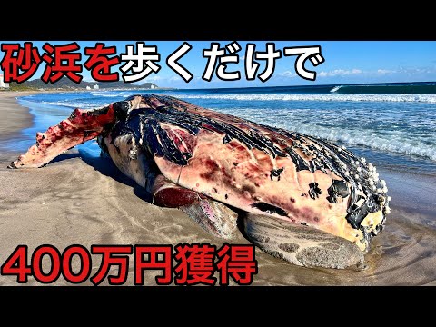 砂浜歩くだけで7000万円？クジラから取れる幻の石龍涎香が日本発見された件について