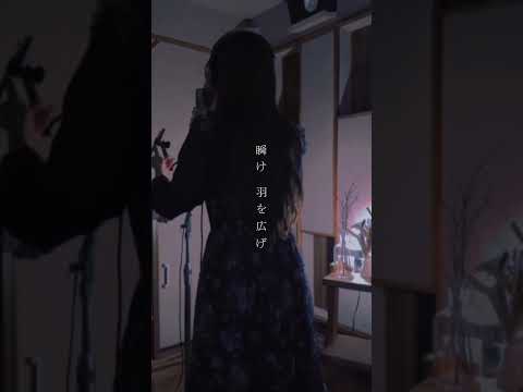 珀 - さよーならまたいつか ! (cover)