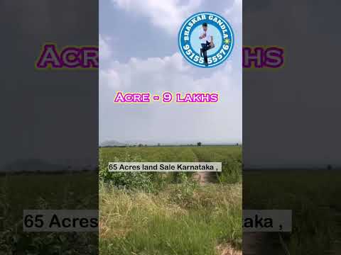 65 Acres land sale || Yadagiri District || Acre -9 lakhs only || borewells  || Hyderabad -250 km