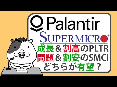 パランティアとスーパーマイクロコンピュータ、どちらのS&P 500 銘柄が有望か？【2024/11/14】