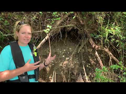 Join Erin a TVA Archeologist as she explains how we protect important history!