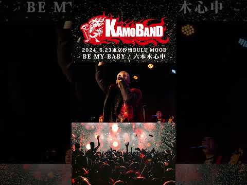 鴨頭嘉人『 BE MY BABY - 六本木心中』LIVE“KAMOバンドTour2024東京”ショート02