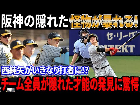 【速報!!!!】NPBが揺れる！阪神の隠れた怪物が暴れる！ドラ1西純矢がいきなり打者に!? チーム全員が隠れた才能の発見に驚愕を受けた！