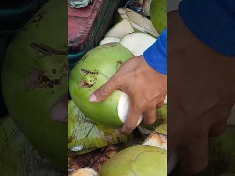 very satisfying cut coconut to have a fresh coconut juice #coconutwater #youtubeshorts #Gatchie Jr