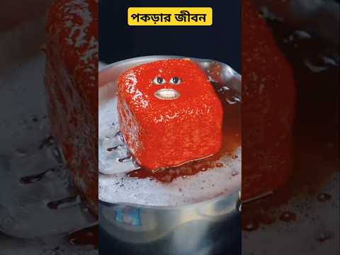 পকড়ার জীবন শেষ #funny #viral #comedy #stupidfamily #shorts