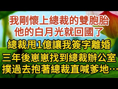 《偷來的幸福》第02集： 我剛懷上總裁的雙胞胎，他的白月光就回國了，總裁甩1億讓我簽字離婚，三年後崽崽找到總裁辦公室，撲過去抱著總裁直喊爹地……#戀愛#婚姻#情感 #愛情#甜寵#故事#小說#霸總