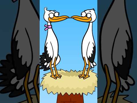 Ever Seen Storks Kissing? - Hooray Kids Songs #nurseryrhymes #childrensmusic #animalsong #storks