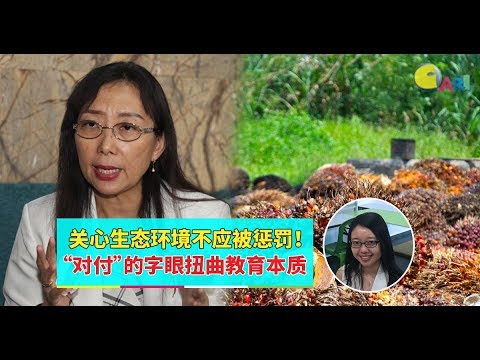 【988早点Up】【停止教学生反棕油】上集：关心生态环境不应被惩罚！“对付”的字眼扭曲教育本质