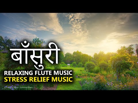 MORNING FLUTE MUSIC l RAISE POSITIVE VIBRATION l BEAUTIFUL MORNING RELAXING MUSIC l BIRDS MEDITATION