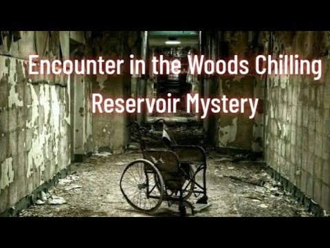 Encounter in the Woods Chilling Reservoir Mystery