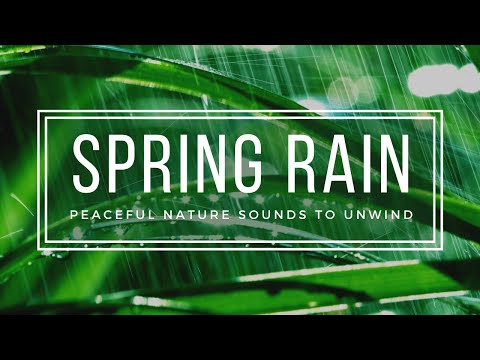 Sleep Like a Baby with Peaceful Spring Rain 💦 - 10 Hours Rain Sounds No Thunder HD