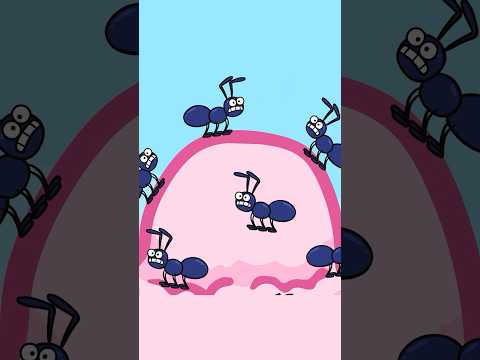 Eek! The Ants are Everywhere – Hooray Kids Songs #shorts #kidssong #animals #ants