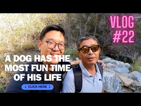 Hike with Dad and Dog VLOG #22