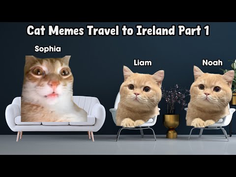 Cat Memes Travel to Ireland Part 1