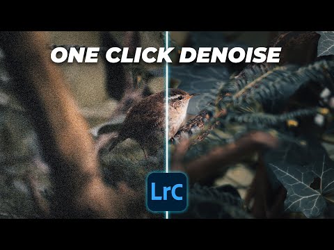 Remove Noise in One Click in Lightroom | Tutorial Tuesday