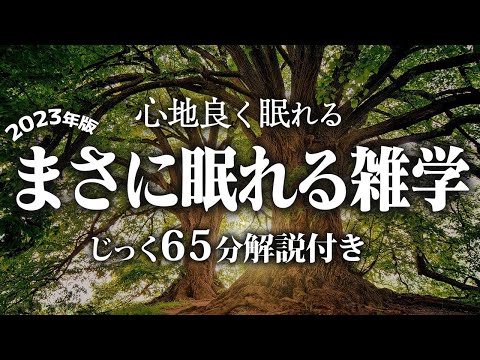 【睡眠導入】まさに眠れる雑学【リラックス】いつもより深い睡眠を♪