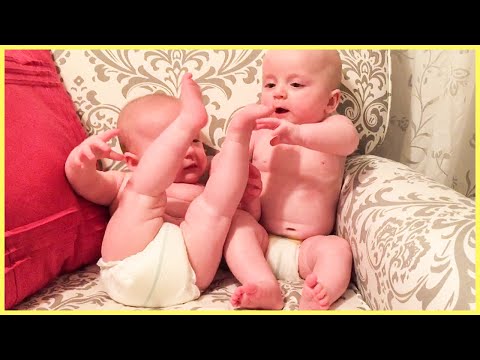 Best Twin Babies Of Year 2022 Collection || Funny Baby Videos