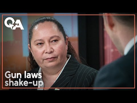 Nicole McKee wants gun law changes. Will it make NZ safer? | Q+A 2024