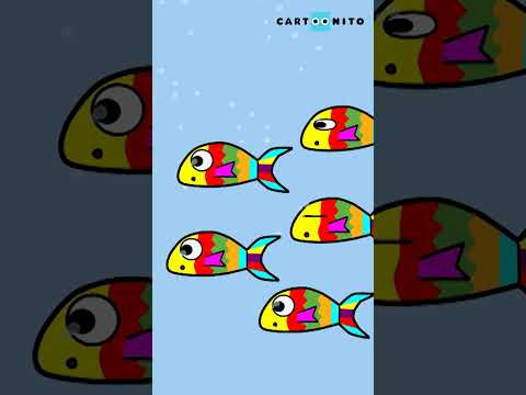 Electric Glide 🎵 🌊  🦀#Clawlolo #cartoonito #KidsMusic | Cartoonito Africa