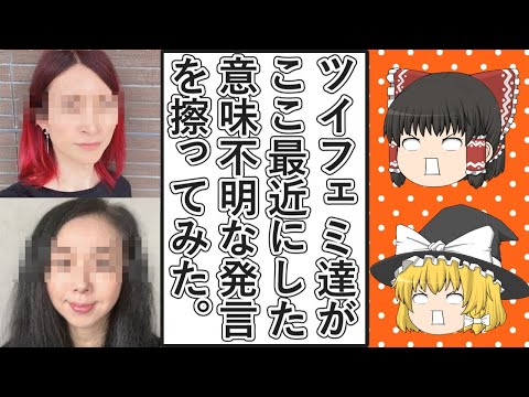 【ゆっくり動画解説】ツイフェミ達が最近した意味不明な発言をまとめて擦りまくってみた