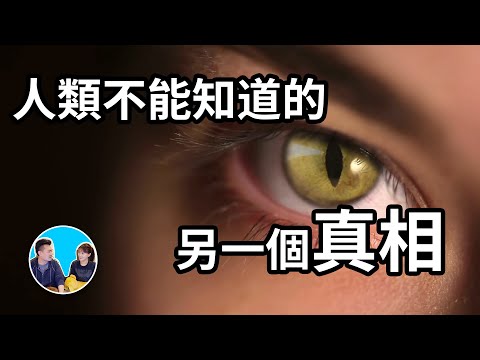 【目前最長影片】人類不能知道的，完全另一個版本的世界的真相 | 老高與小茉 Mr & Mrs Gao