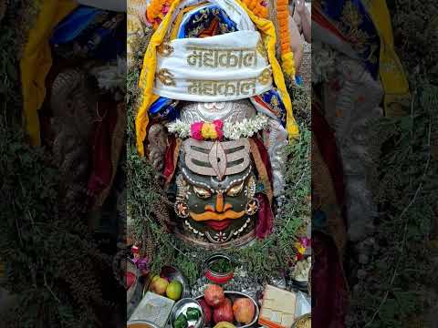 रचा है सृष्टि को जिस प्रभु ने | Mahadev Status | Mahadev New Status Video #mahadev #shiv #shorts #re