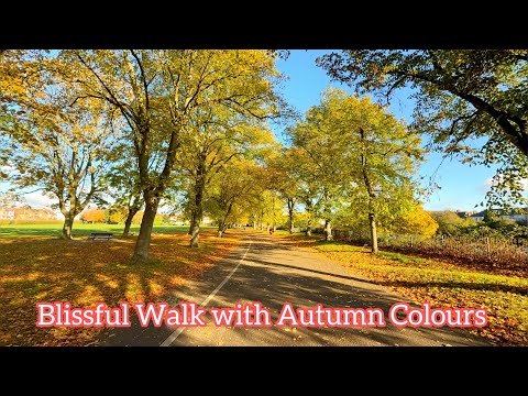 [UK] 🇬🇧 A Blissful Autumn Morning Sunshine Walk with Fall Colours