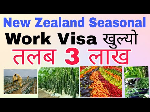 New Zealand Seasonal Work Visa 2023 Nepal | How To Apply New Zealand Seasonal Work Visa 2023 Nepal