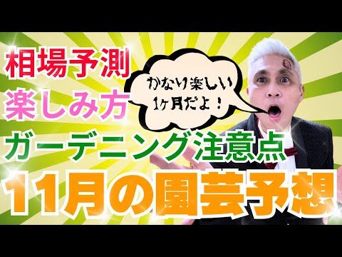 11月の園芸予想　園芸業界21年の古屋が予測する相場予測・11月の楽しみ方・ガーデニングの注意点