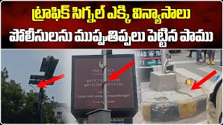 Snakes Hulchul at Liberty Junction in Himayatnagar | Traffic Jam | Hyderabad | Samayam Telugu