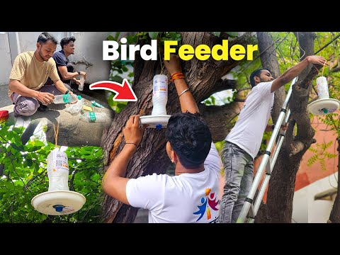 हमने ख़राब बॉटल्स से पक्षी को खाना खिलाने वाला बनाया | Ekumang Foundation | Bird Feeders - Delhi