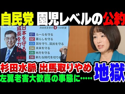 【自民党】杉田水脈議員が出馬取りやめた自民党、小学生みたいな公約を掲げて呆れられる【ゆっくり解説】