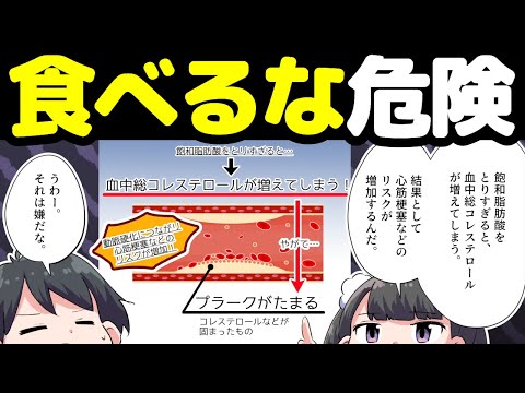 【30代へ】人生を変える食べないほうが良いもの一覧【本要約まとめ/作業用/フェルミ】