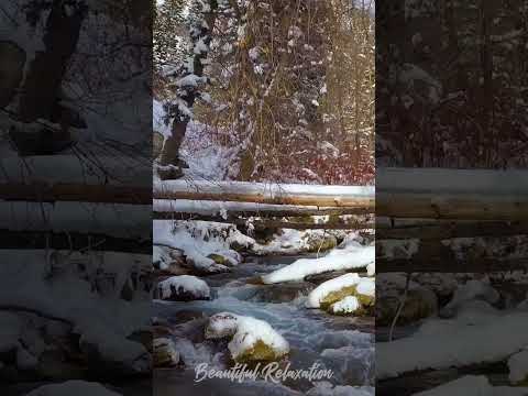 Snowy River Relaxation #youtubeshorts #nature #winter #relaxing #relaxation #relaxingsounds