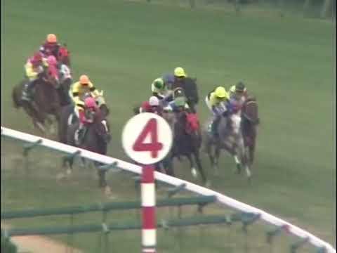 ジャングルポケット 2000年 第17回ラジオたんぱ杯3歳ステークス(GIII) (優勝馬：アグネスタキオン)