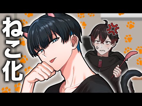 クール男子がねこ化するとどうなるのか...【アニメ】【漫画】