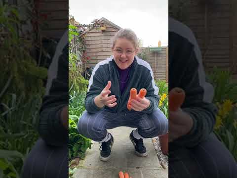 Are you going to have a go? #gardeningforbeginners #growfood #wildlifefriendly #carrotflowers