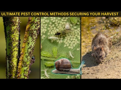 Ultimate Pest Control Guide for Farmers | Types, Methods, and Strategies