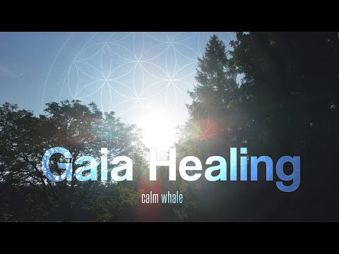 Gaia Healing 🌳 Slow Shaman Drum & RAV : Tantra Music : Solar Plexus Chakra Meditation