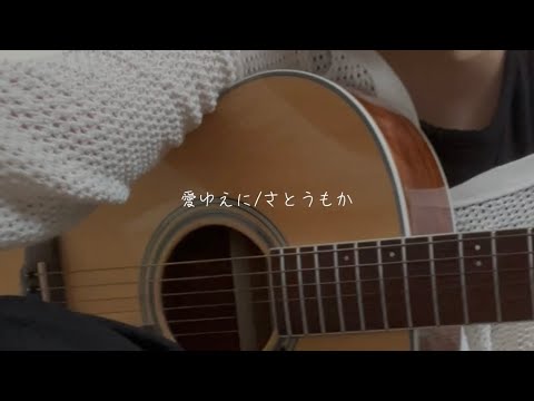 【弾き語り】愛ゆえに/さとうもか