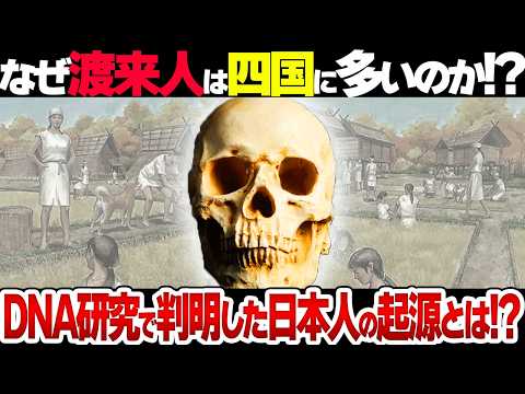 ゲノム研究で解明!渡来人は四国に多かった我々日本人のルーツとは？