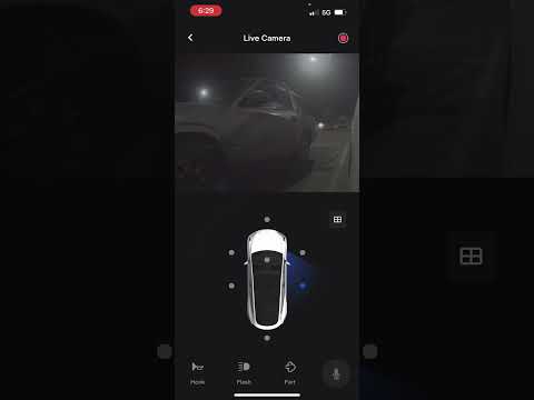 New Sentry Cameras In Tesla Update