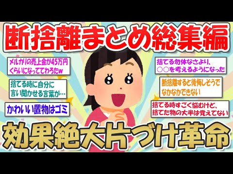 【2ch掃除まとめ】断捨離総集編！聞き流しで部屋がシンプル＆スッキリ片付く【ミニマリスト】ガルちゃん有益トピ