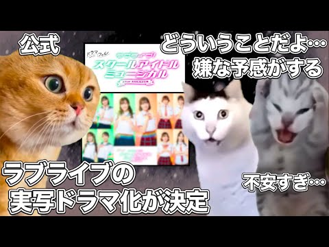 ラブライブの実写ドラマ化が決定し、困惑するオタクたち【猫ミーム】 #猫マニ #猫ミーム