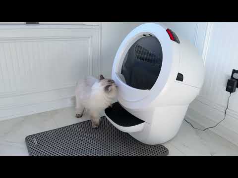 We never scoop our cat's litter - thanks to Litter-Robot