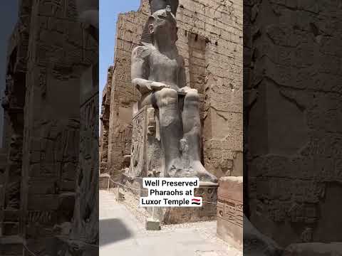 Well-preserved Pharaohs at Luxor Temple EG #shorts #egypt #luxortemple #pharaoh