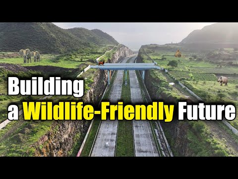 Building a Wildlife-Friendly Future | #WorldAnimalWelfareDay | Megha Engineering