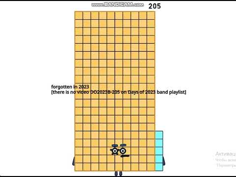 DO2024B- 205