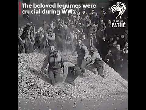 1941 Peanut Festival USA  #history  #interesting #oldisgold  #vintage